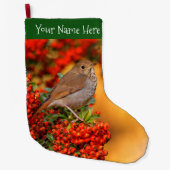 Hermit Thrush Songbird op de Scarlet Firethorn Grote Kerstsok (Voorkant)