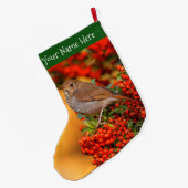 Hermit Thrush Songbird op de Scarlet Firethorn Grote Kerstsok (Achterkant (Hangend))