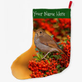 Hermit Thrush Songbird op de Scarlet Firethorn Grote Kerstsok (Achterkant)