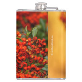 Hermit Thrush Songbird op de Scarlet Firethorn Heupfles (Achterkant)