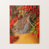 Hermit Thrush Songbird op de Scarlet Firethorn Legpuzzel (Verticaal)