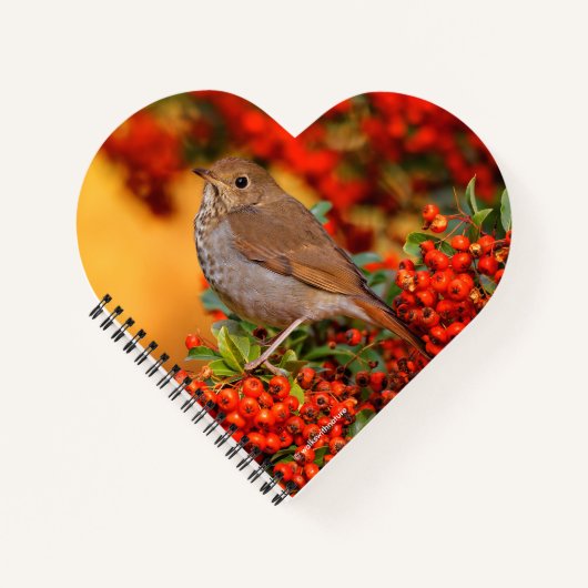 Hermit Thrush Songbird op de Scarlet Firethorn Notitieboek (Voorkant)
