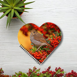 Hermit Thrush Songbird op de Scarlet Firethorn Notitieboek
