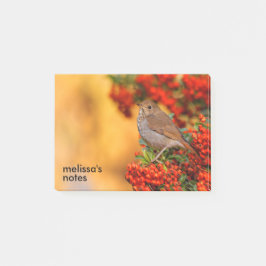 Hermit Thrush Songbird op de Scarlet Firethorn Post-it® Notes