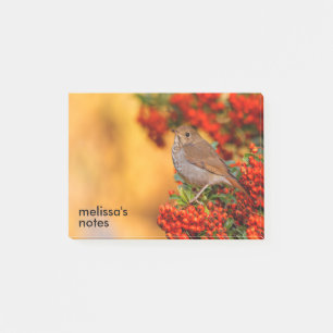 Hermit Thrush Songbird op de Scarlet Firethorn Post-it® Notes