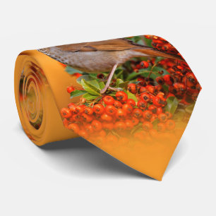 Hermit Thrush Songbird op de Scarlet Firethorn Stropdas