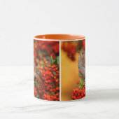 Hermit Thrush Songbird op Scarlet Firethorn Mok (Midden)