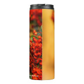 Hermit Thrush Songbird op Scarlet Firethorn Thermosbeker (Achterkant)