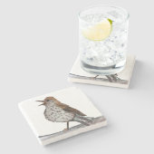 Hermit Thrush Stone Onderzetter (Zijkant)