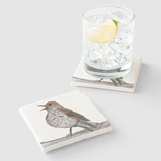 Hermit Thrush Stone Onderzetter (Zijkant)