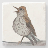 Hermit Thrush Stone Onderzetter (Voorkant)