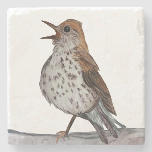 Hermit Thrush Stone Onderzetter (Voorkant)