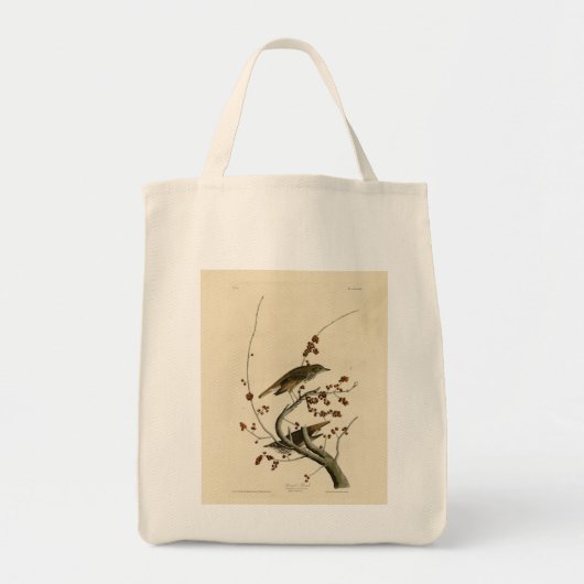 Hermit Thrush van de Amerikaanse vogels uit Audubo Tote Bag (Voorkant)