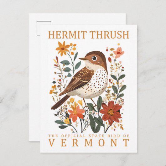 Hermit Thrush Vogel van Vermont Reizen Briefkaart (Voorkant / Achterkant)