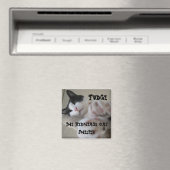 Hermitage magneet- Fudge Magneet (Insitu (Vaatwasser))