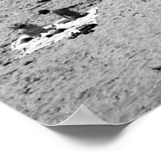 Hermosa Beach, Los Angeles, Californië, 1951 Poster (Hoek)