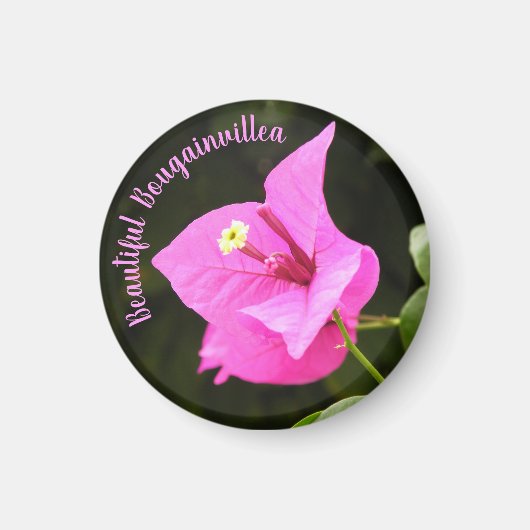 Hermosa Bugambilia Magneet (Voorkant)
