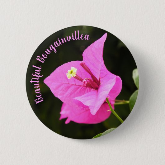 Hermosa Bugambilia Ronde Button 5,7 Cm (Voorkant)