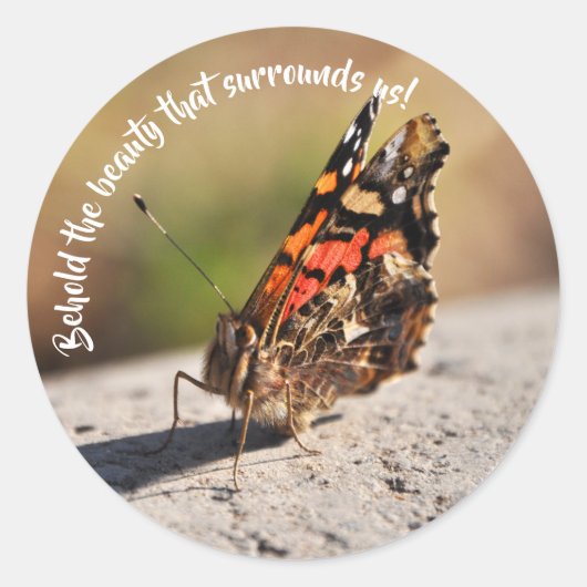 Hermosa Mariposa Ronde Sticker (Voorkant)