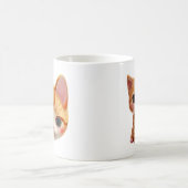 Hermosas imágenes  de tiernos gatitos koffiemok (Center)