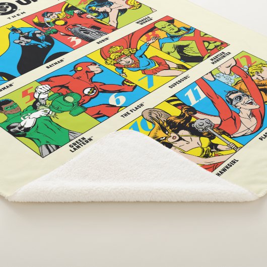 Heroes of the DC™ Universe Sherpa Deken (3/4)