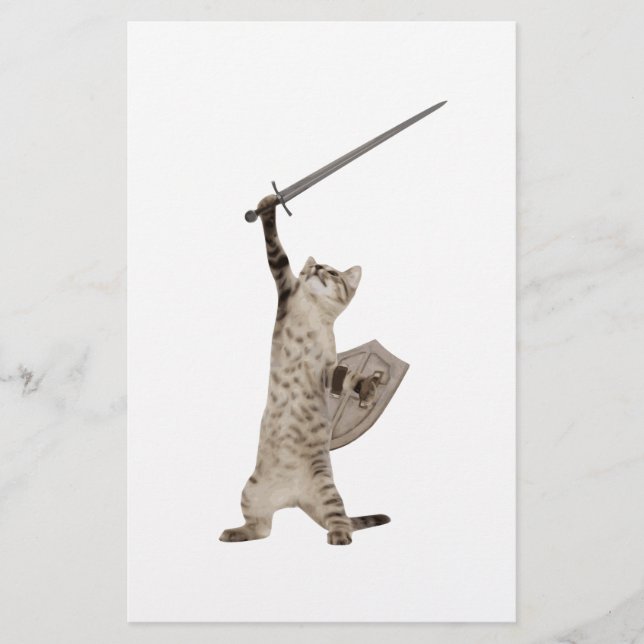 Heroic Warrior Knight Cat (Voorkant)