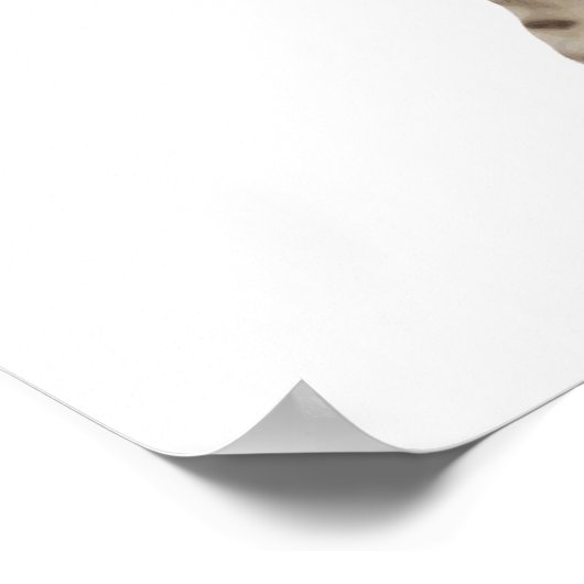 Heroic Warrior Knight Cat Poster (Hoek)