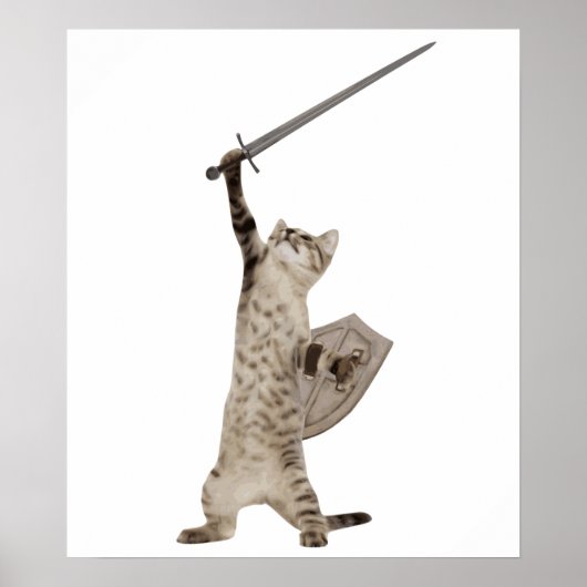 Heroic Warrior Knight Cat Poster (Voorkant)