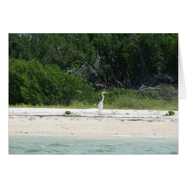 Heron (Voorkant Horizontaal)