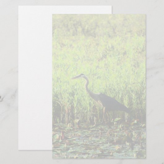 Heron 6449 (Voorkant / Achterkant)