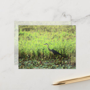 Heron 6449 briefkaart