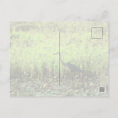 Heron 6449 briefkaart (Achterkant)