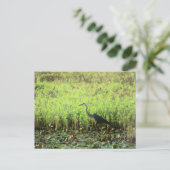 Heron 6449 briefkaart (Staand voorkant)