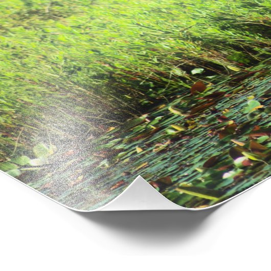 Heron 6449 foto afdruk (Hoek)