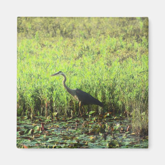 Heron 6449 magneet (Voorkant)