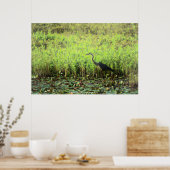 Heron 6449 poster (Keuken)