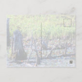 Heron 6467 briefkaart (Achterkant)