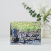 Heron 6467 briefkaart (Staand voorkant)