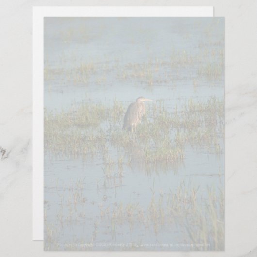 Heron 6937 (Voorkant / Achterkant)