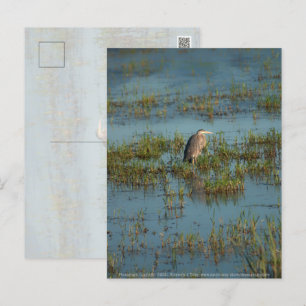 Heron 6937 briefkaart