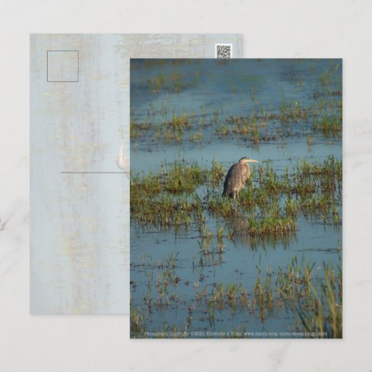 Heron 6937 briefkaart (Voorkant / Achterkant)
