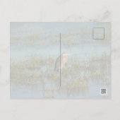Heron 6937 briefkaart (Achterkant)