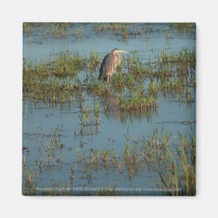 Heron 6937 magneet