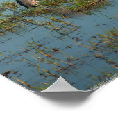 Heron 6937 poster (Hoek)