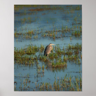 Heron 6937 poster