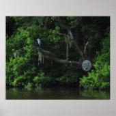 Heron and Lazy River Poster Print (Voorkant)