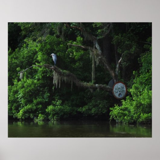 Heron and Lazy River Poster Print (Voorkant)