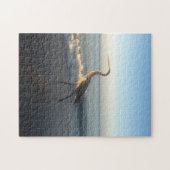 Heron Beach Florida. Legpuzzel (Horizontaal)