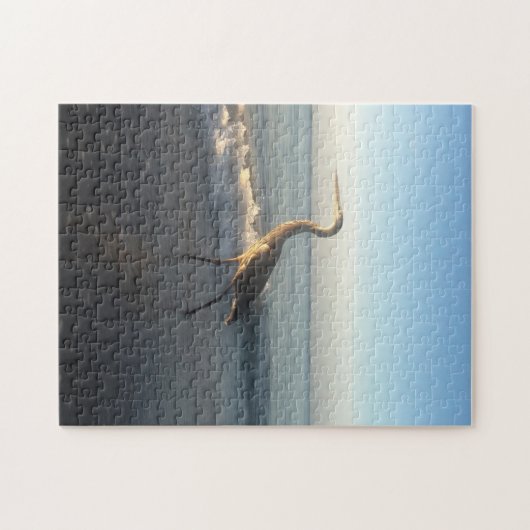 Heron Beach Florida. Legpuzzel (Horizontaal)