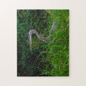 Heron Beach Florida. Legpuzzel (Verticaal)